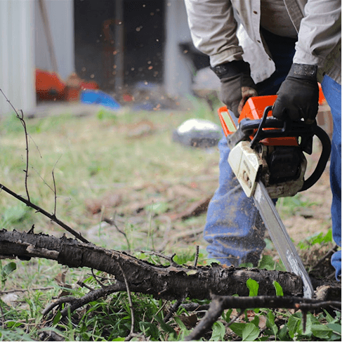 Chainsaw