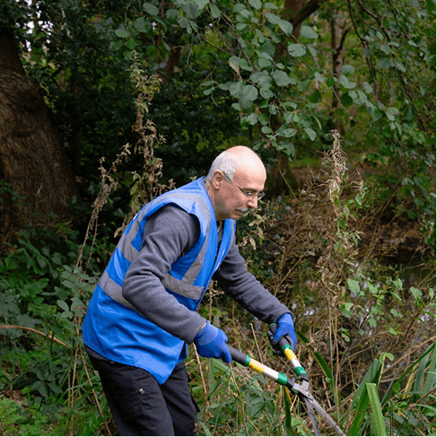 Hedge Trimmer
