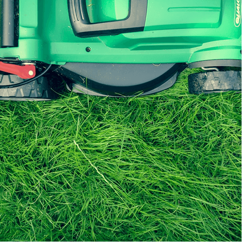 Lawn Mower